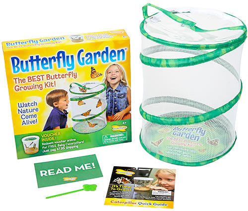 Butterfly Garden