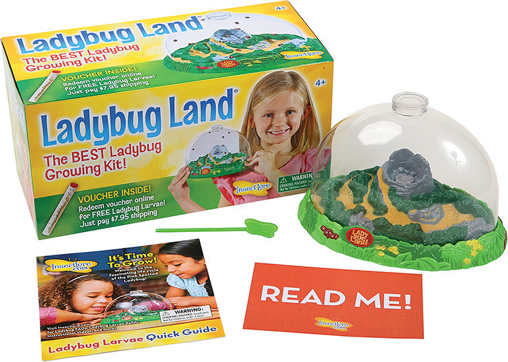 Ladybug Land