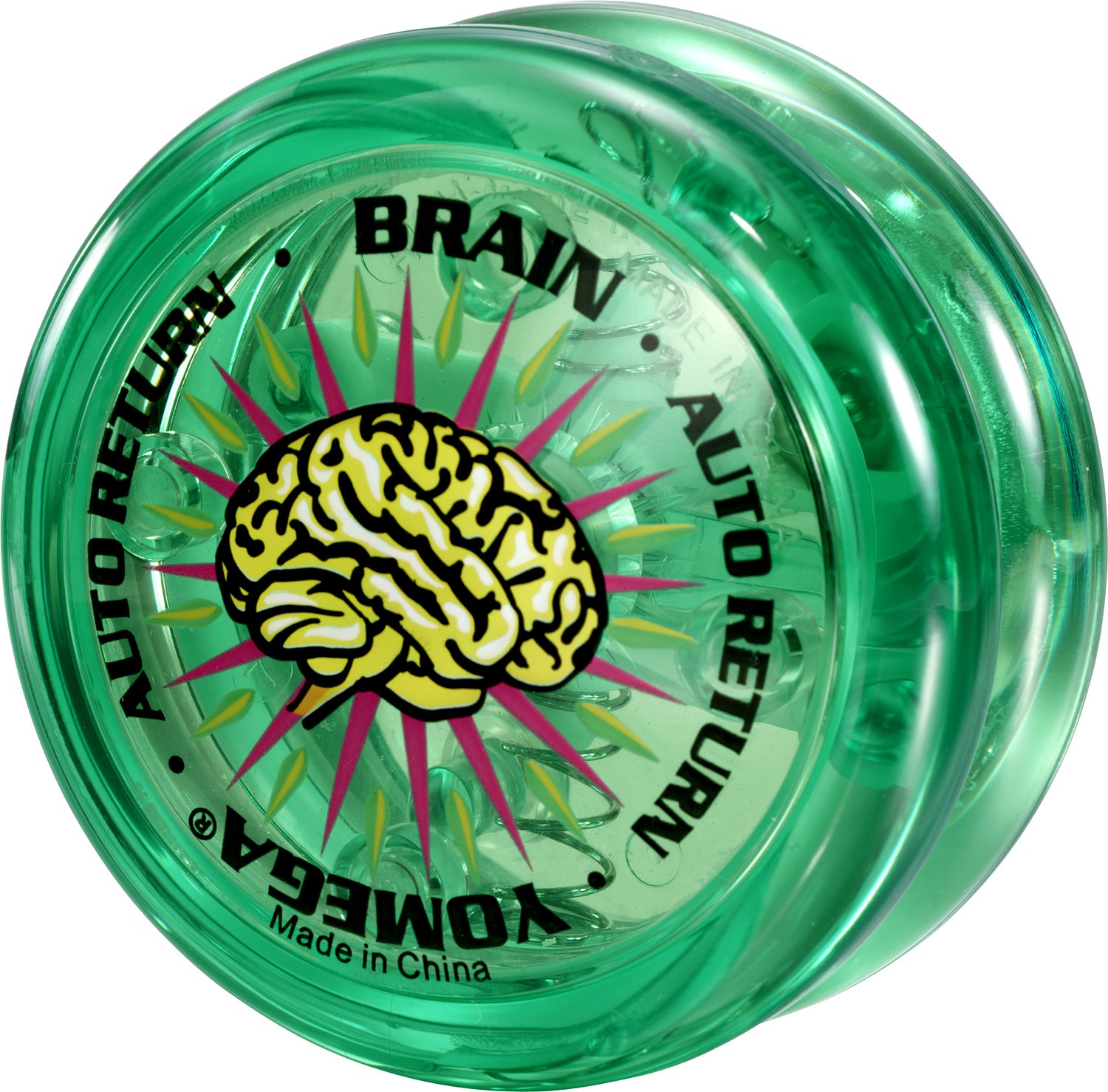 Brain