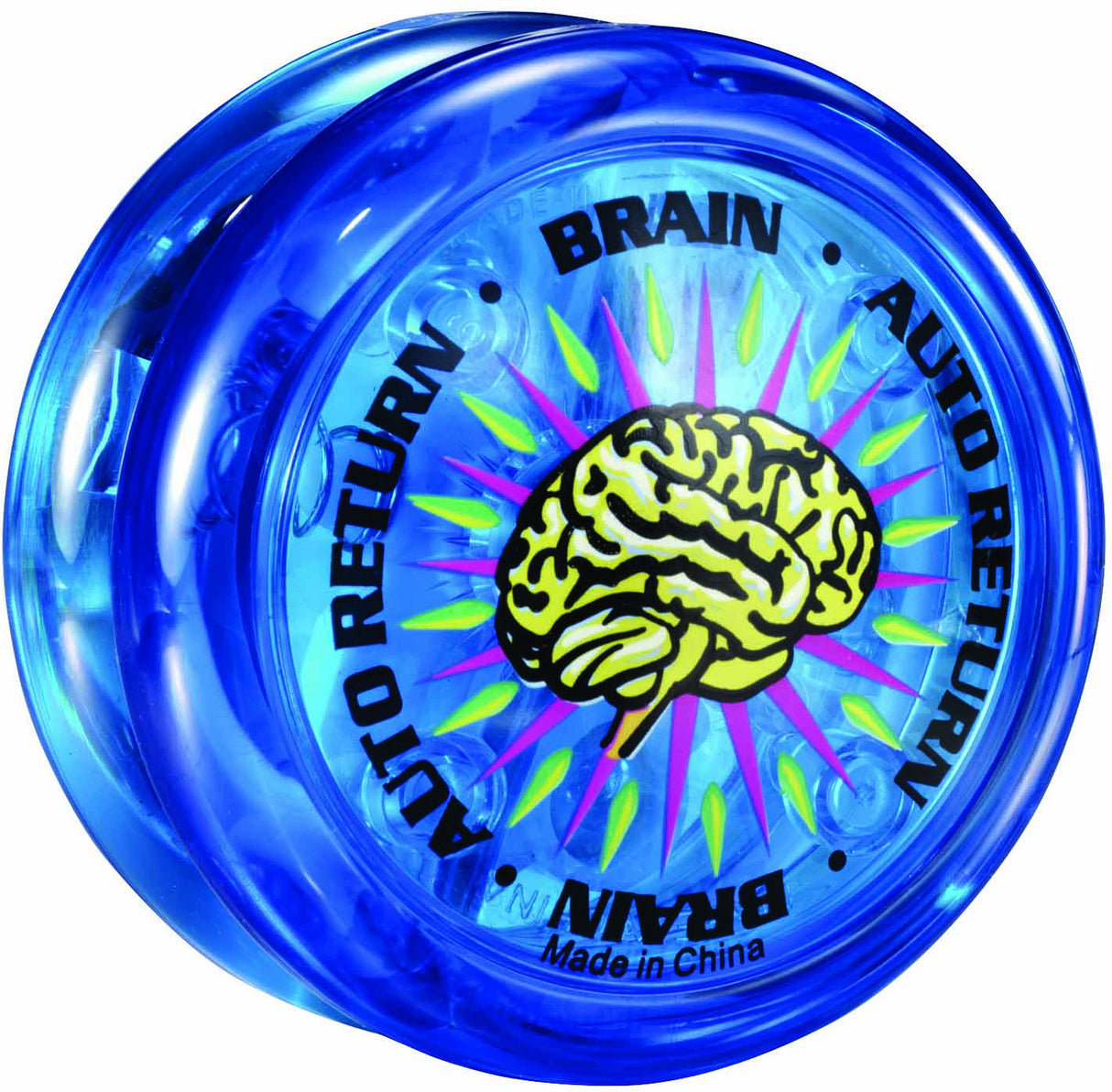 Brain