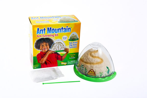 Ant Mountain