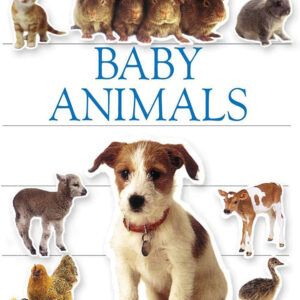 Sticker Book, Baby Animal
