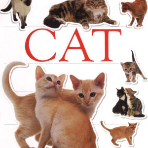 Sticker Book, Cat